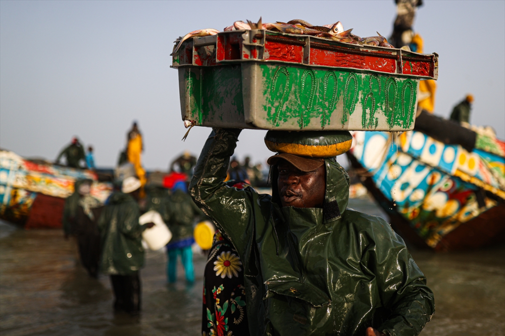 Senegal’de halkın geçim kaynağı ‘’balıkçılık’’