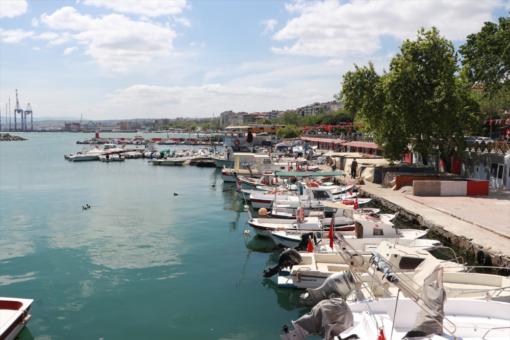 Tekirdağ'da küçük teknelerin tuttuğu balıklar tezgahları süslüyor