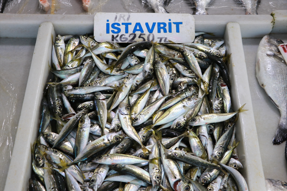 Tekirdağ'da küçük teknelerin tuttuğu balıklar tezgahları süslüyor