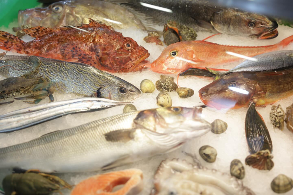 Seafood Expo Eurasia Su Ürünleri ve Balıkçılık Fuarı