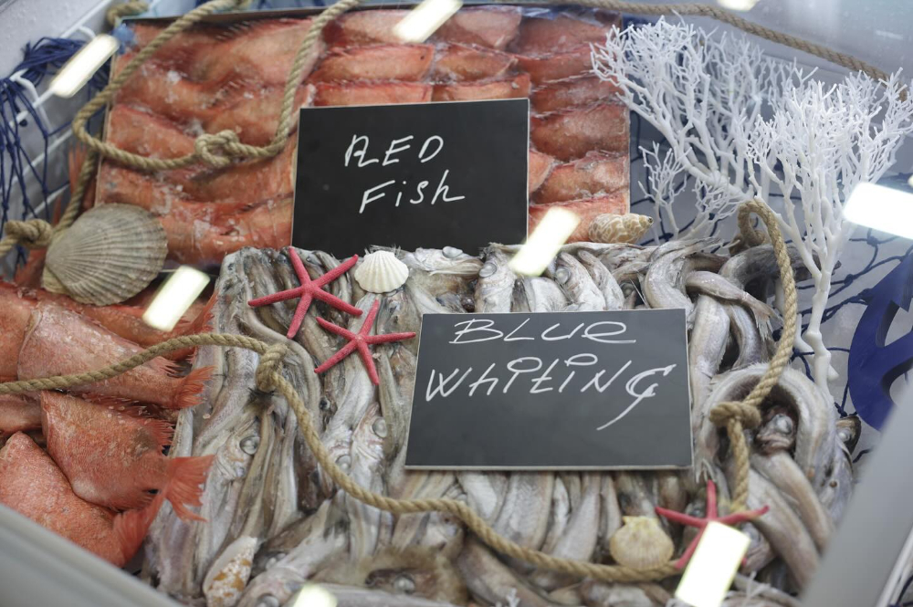 Seafood Expo Eurasia Su Ürünleri ve Balıkçılık Fuarı