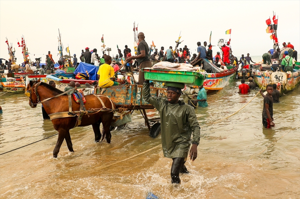 Atlantik Okyanusu kıyısındaki balıkçıların av mesaisi