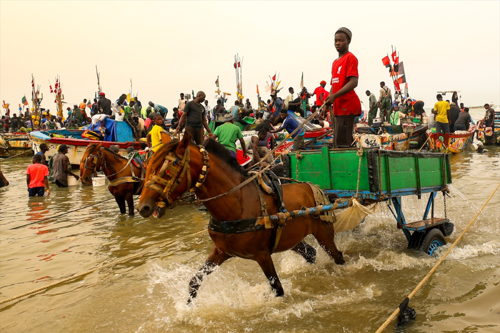 Atlantik Okyanusu kıyısındaki balıkçıların av mesaisi
