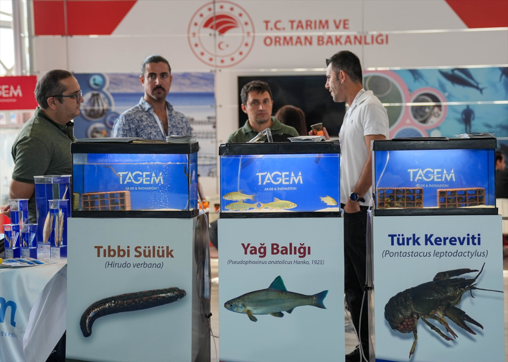 Türkiye ve Norveç'in su ürünlerindeki işbirliği İzmir'de düzenlenen forumda ele alındı