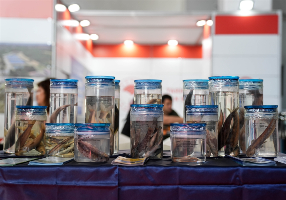 Türkiye ve Norveç'in su ürünlerindeki işbirliği İzmir'de düzenlenen forumda ele alındı