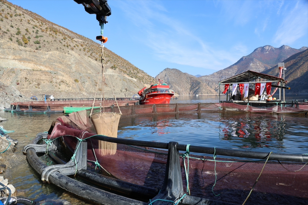 Deriner Barajı'nda yılda 1,4 milyar liralık su ürünleri üretimi hedefleniyor |Balık Haber - Balık TV