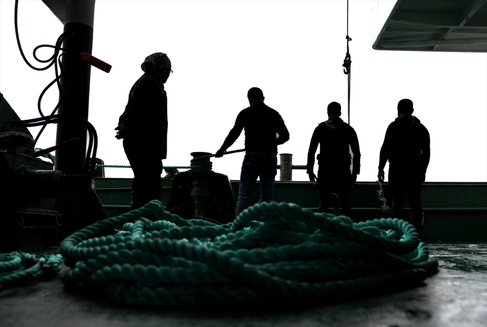 Ege'deki orkinos yetiştiricileri bu sezon ihracat gelirinde artış bekliyor |Balık Haber - Balık TV