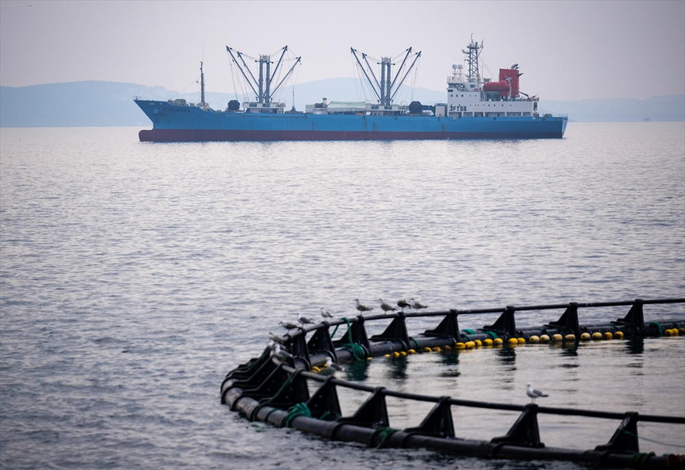 Ege'deki orkinos yetiştiricileri bu sezon ihracat gelirinde artış bekliyor |Balık Haber - Balık TV