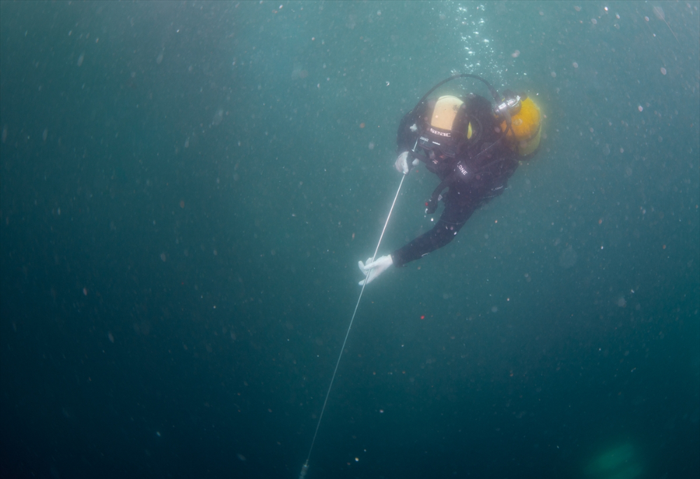 Ege'deki orkinos yetiştiricileri bu sezon ihracat gelirinde artış bekliyor |Balık Haber - Balık TV