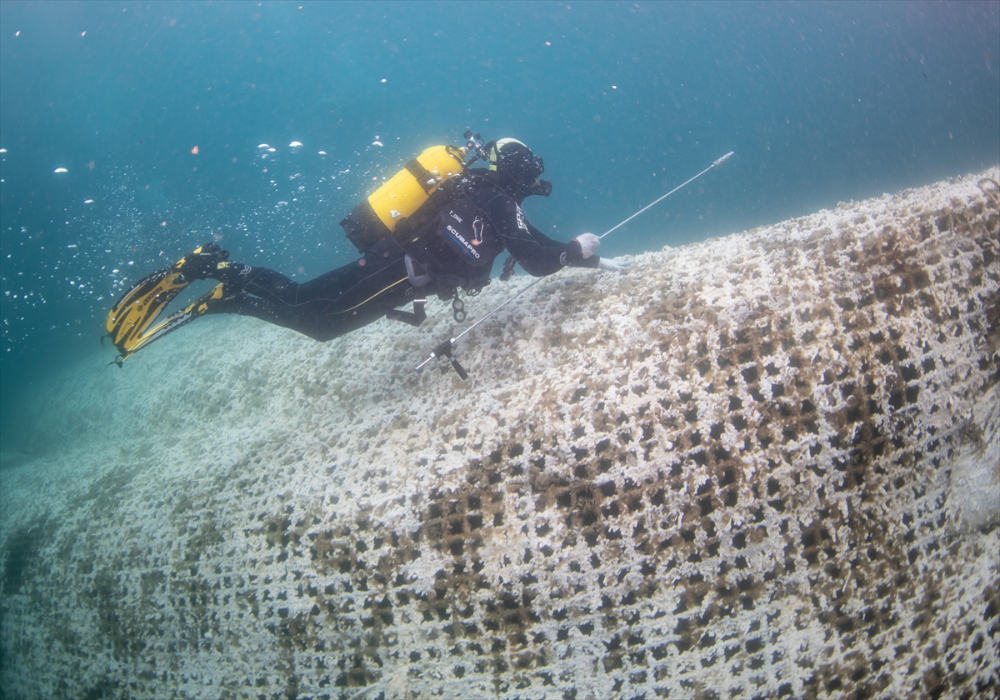 Ege'deki orkinos yetiştiricileri bu sezon ihracat gelirinde artış bekliyor |Balık Haber - Balık TV