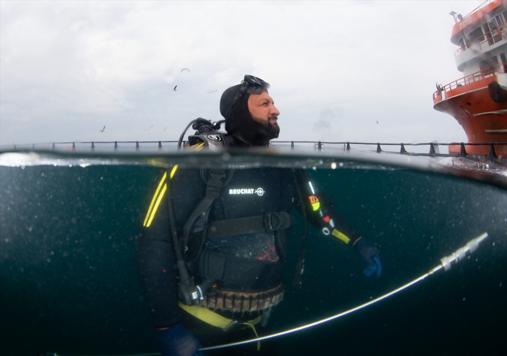 Ege'deki orkinos yetiştiricileri bu sezon ihracat gelirinde artış bekliyor |Balık Haber - Balık TV
