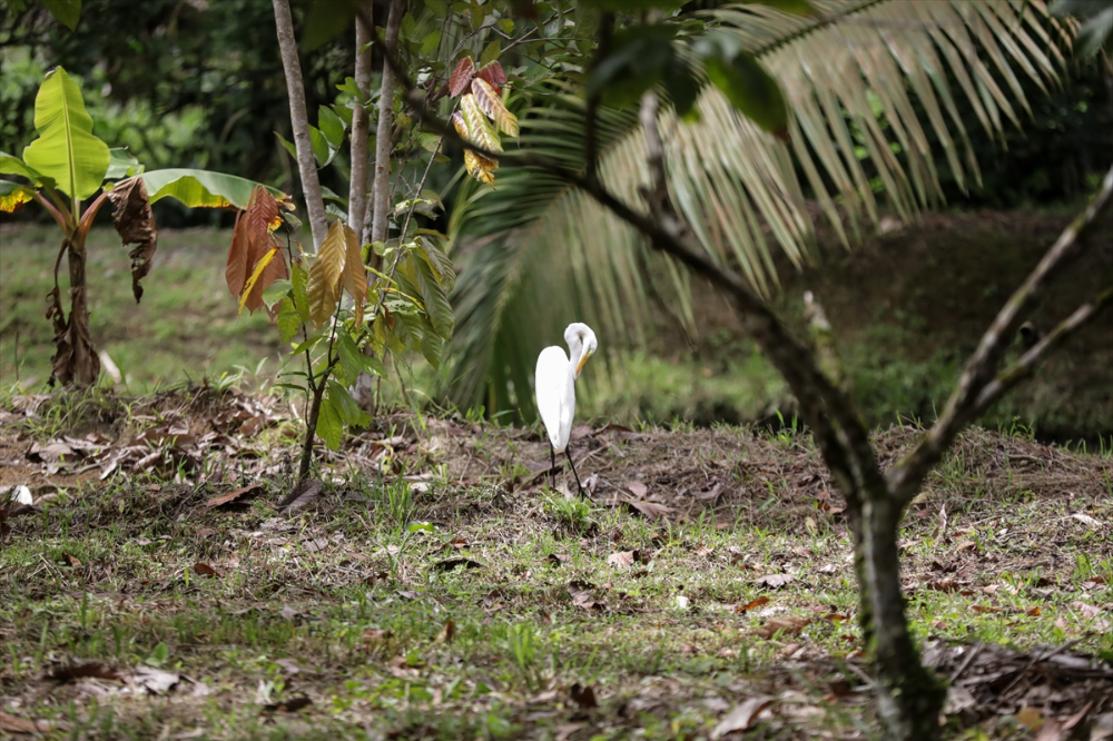 Kolombiya'nın zengin balıkçılık gelenekleriyle tanınan liman kenti Tumaco'da günlük yaşam