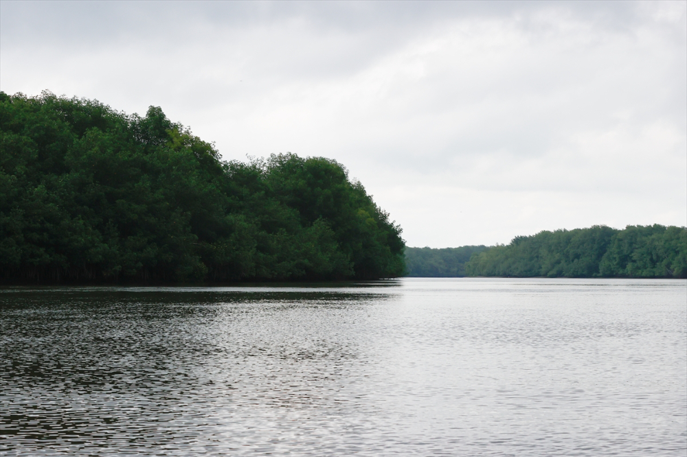 Kolombiya'nın zengin balıkçılık gelenekleriyle tanınan liman kenti Tumaco'da günlük yaşam