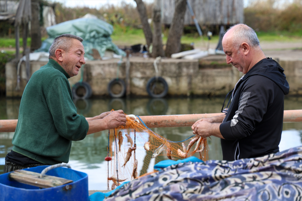 Sakarya Balıkçıları