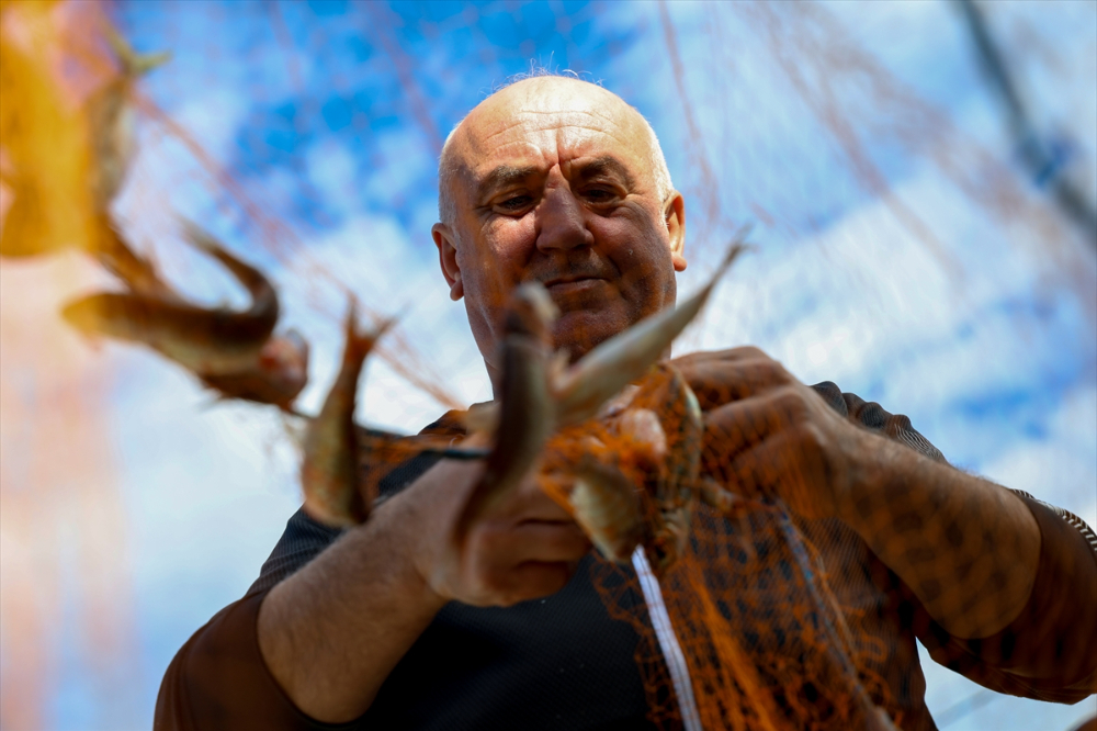 Sakarya Balıkçıları