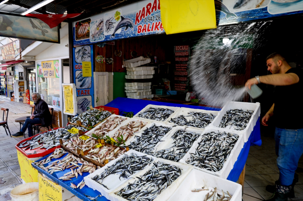 Sakarya Balıkçıları