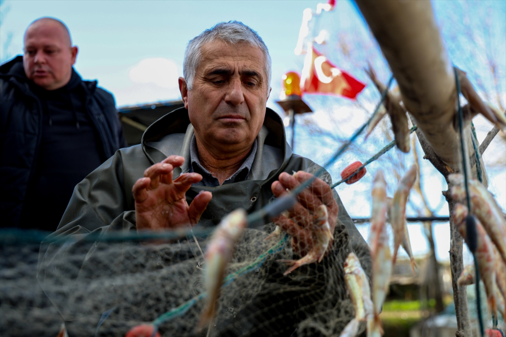 Sakarya Balıkçıları