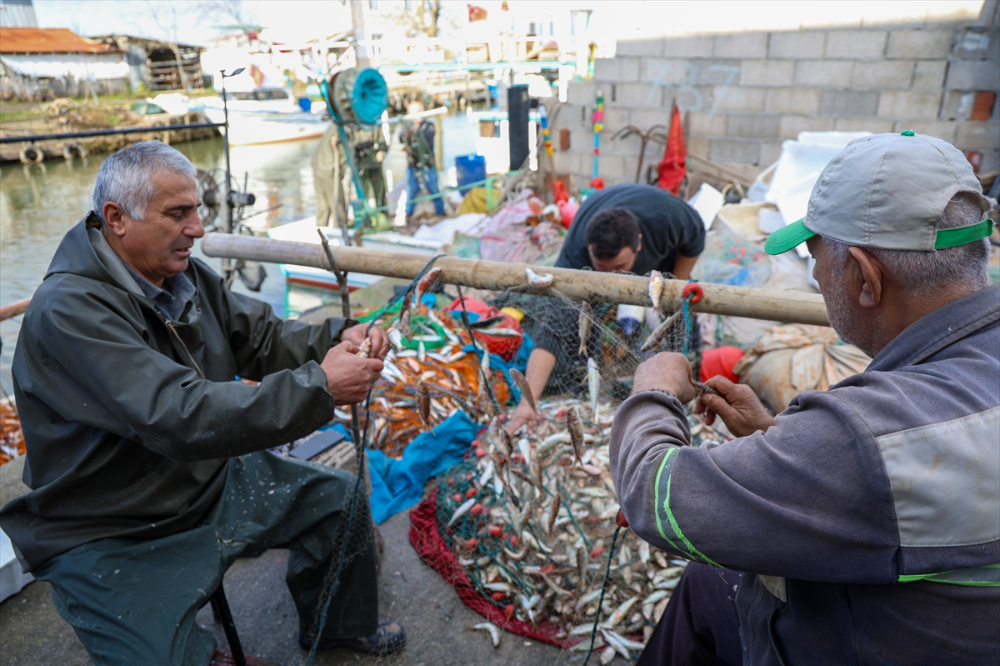 Sakarya Balıkçıları
