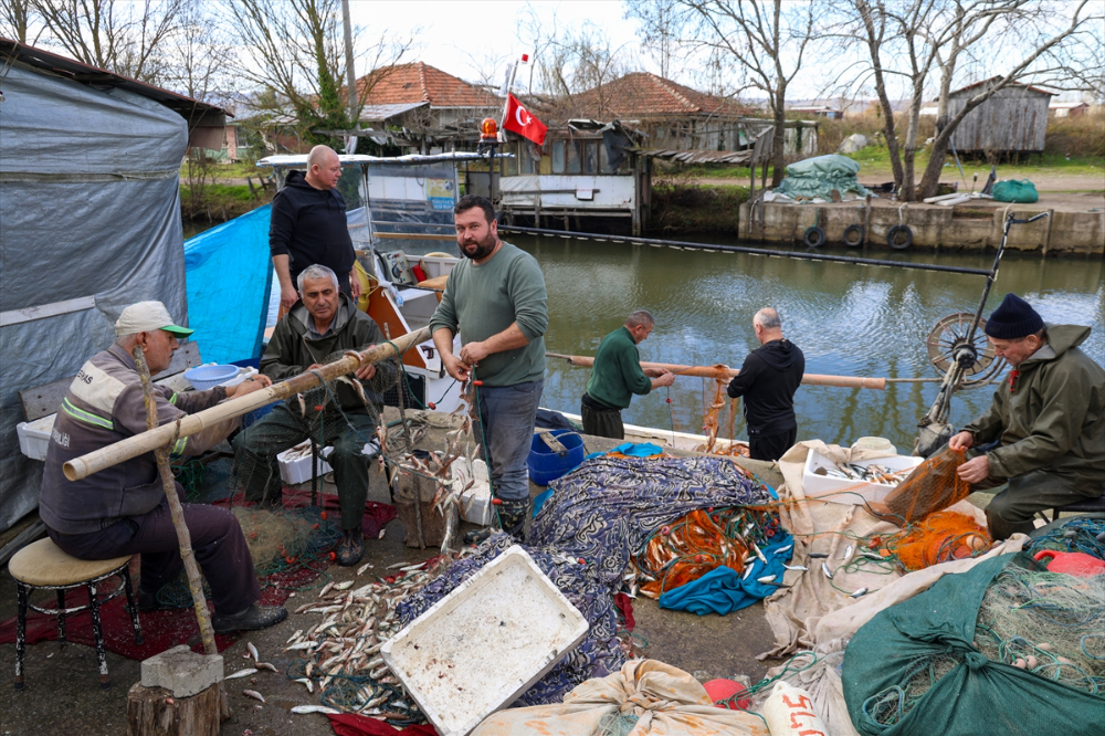 Sakarya Balıkçıları