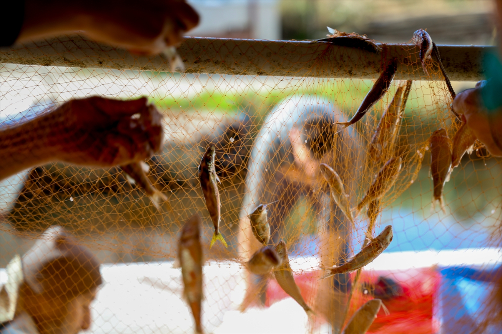 Sakarya Balıkçıları
