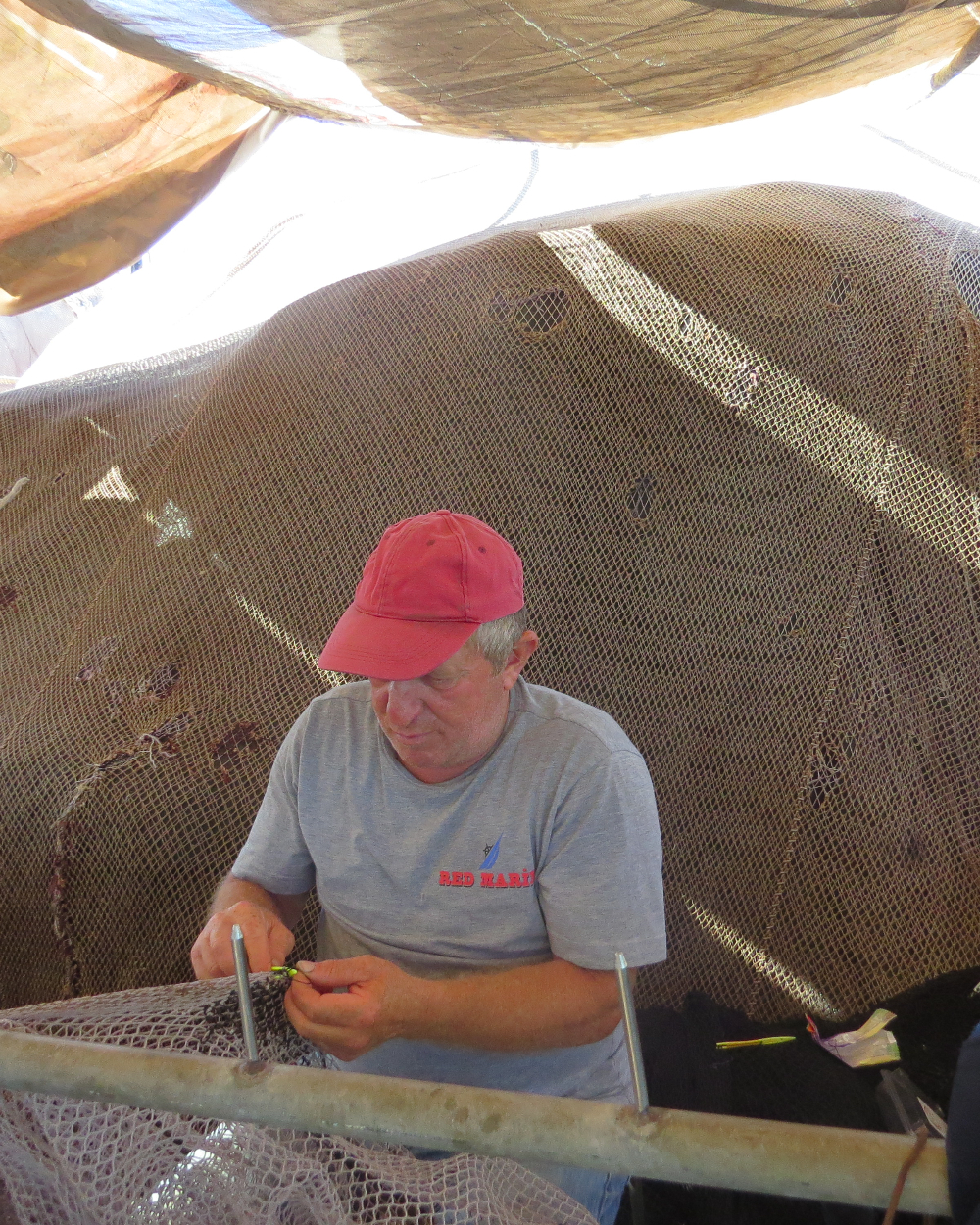 Rumelifeneri Balıkçılık Sezon Hazırlıkları 5 Temmuz 2025