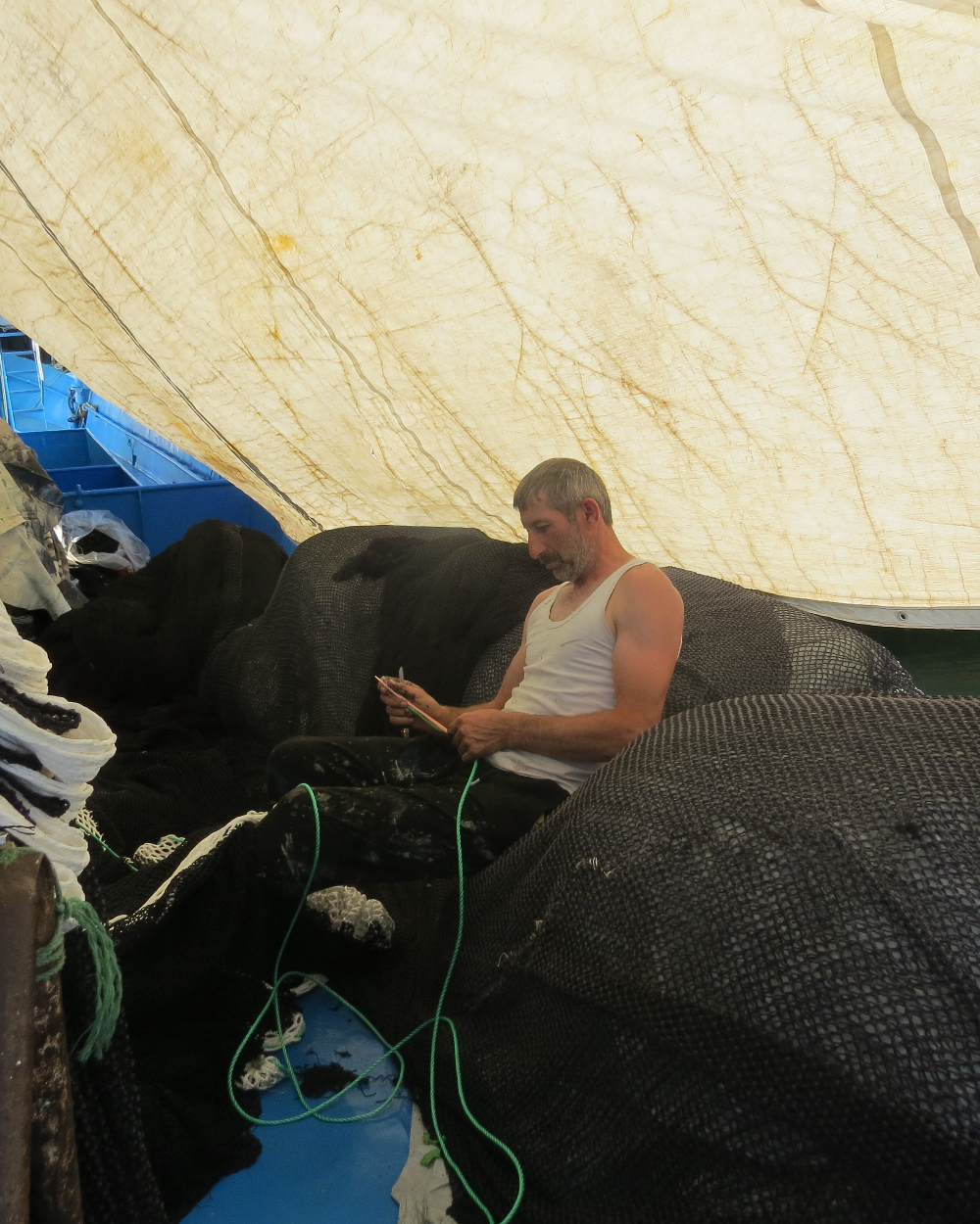 Rumelifeneri Balıkçılık Sezon Hazırlıkları 5 Temmuz 2025