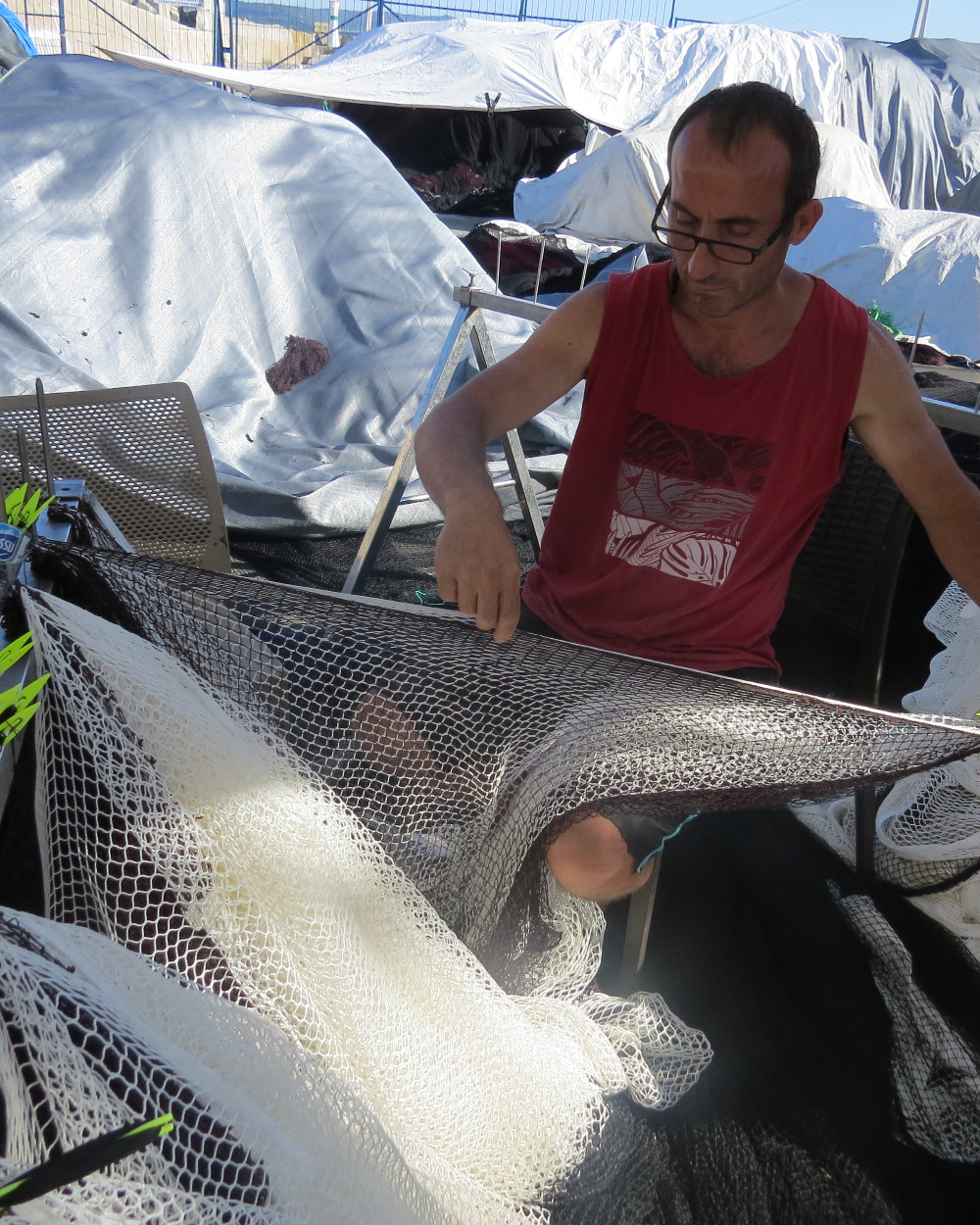 Rumelifeneri Balıkçılık Sezon Hazırlıkları 5 Temmuz 2025