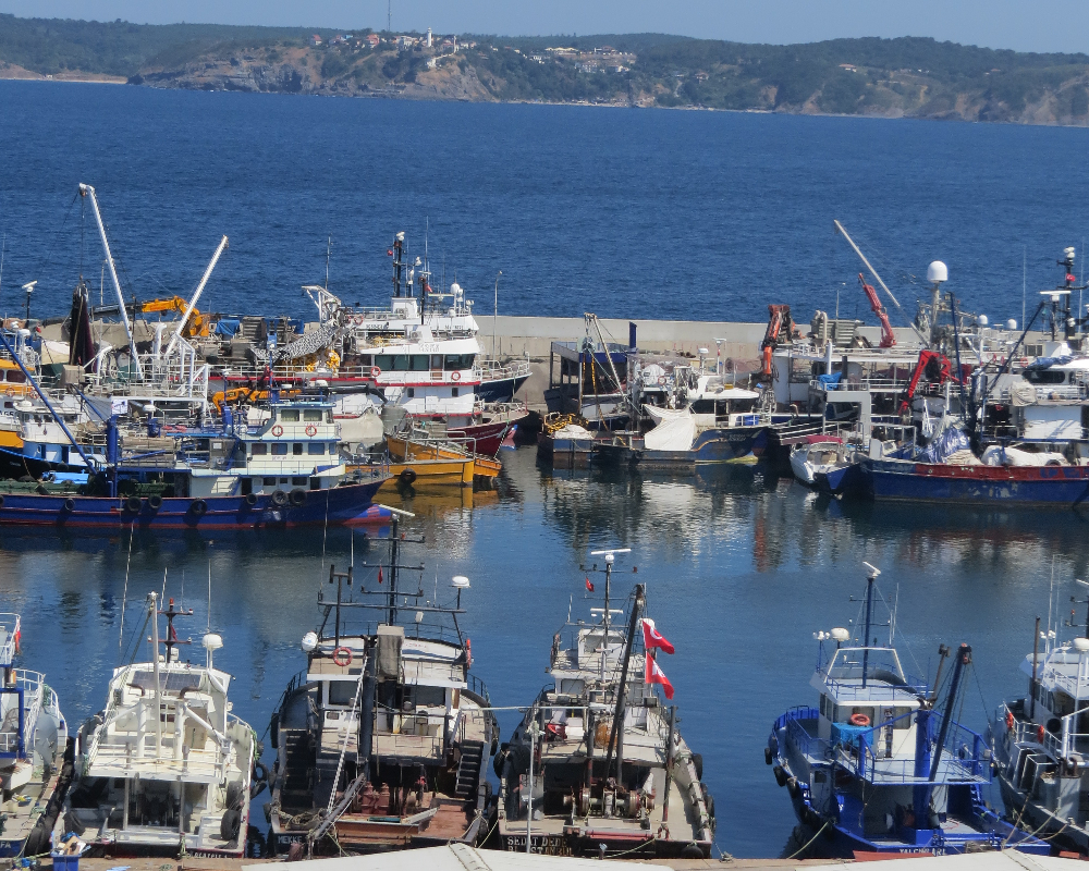 Rumelifeneri Balıkçılık Sezon Hazırlıkları 5 Temmuz 2025