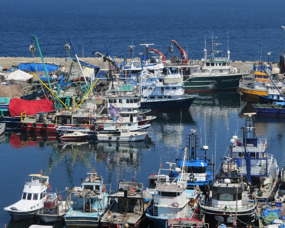 Rumelifeneri Balıkçılık Sezon Hazırlıkları 5 Temmuz 2025