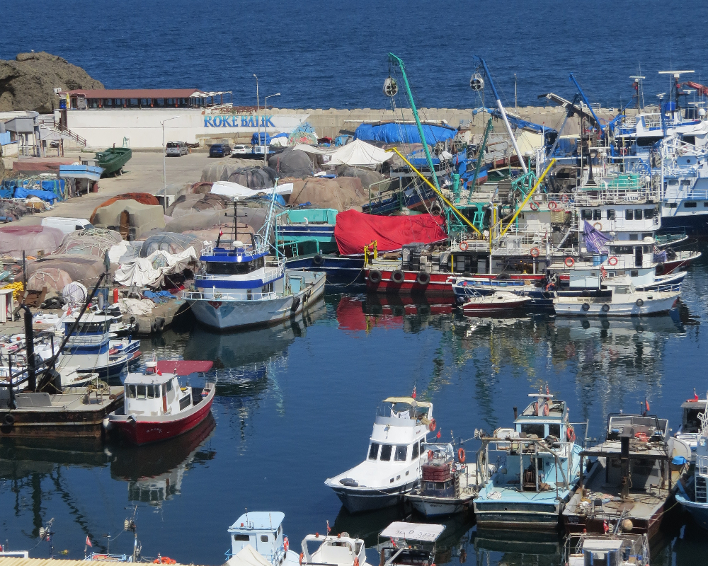 Rumelifeneri Balıkçılık Sezon Hazırlıkları 5 Temmuz 2025