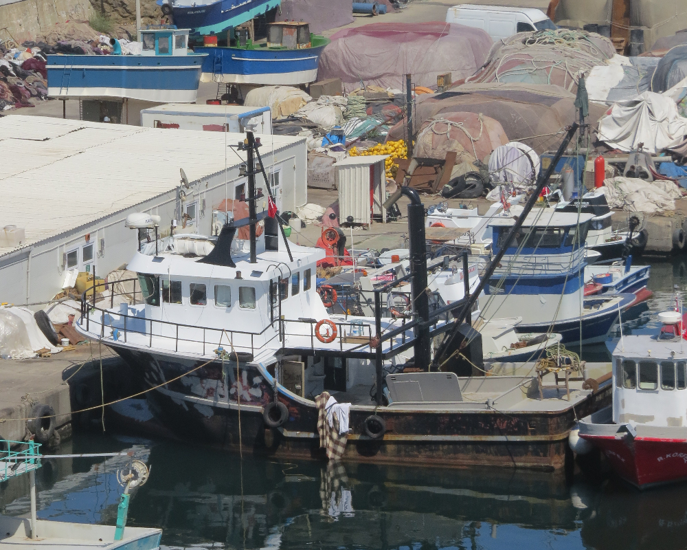 Rumelifeneri Balıkçılık Sezon Hazırlıkları 5 Temmuz 2025