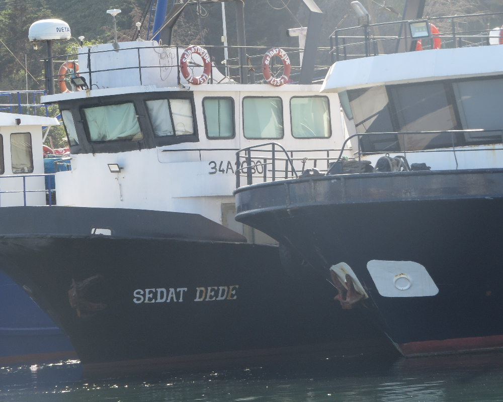 Rumelifeneri Balıkçılık Sezon Hazırlıkları 5 Temmuz 2025