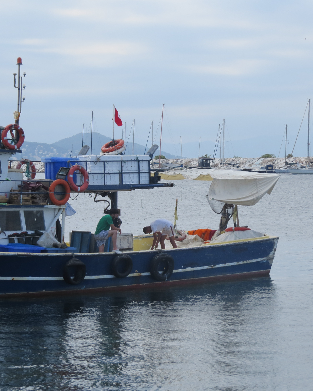 Rumelifeneri Balıkçılık Sezon Hazırlıkları 5 Temmuz 2025