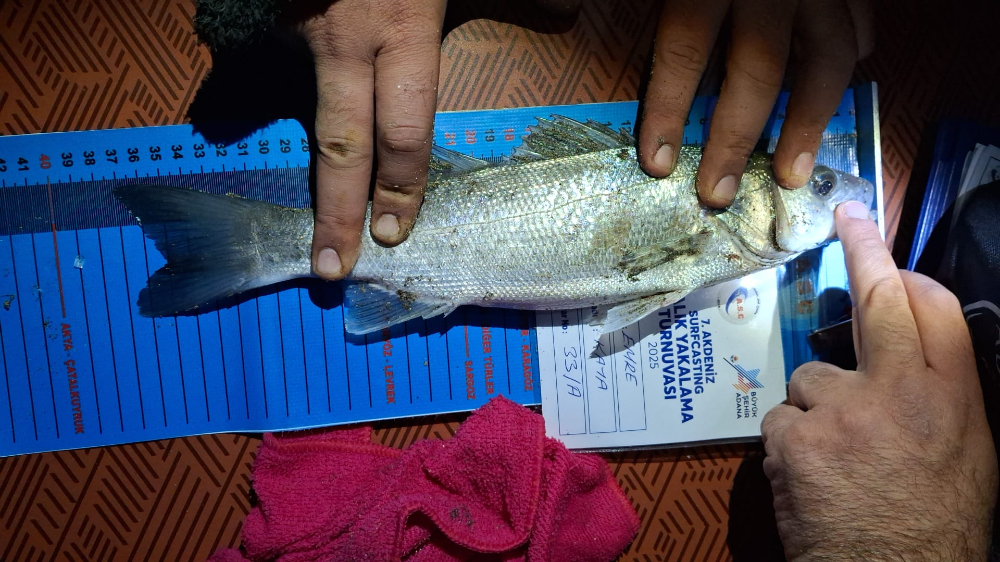 7. AKDENİZ SURFCASTING TURNUVASI