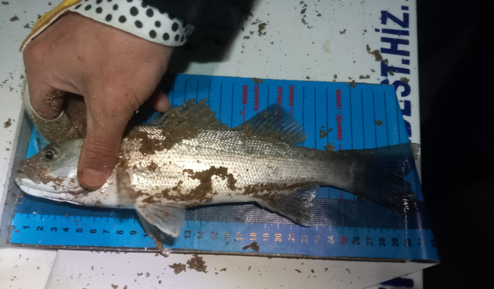 7. AKDENİZ SURFCASTING TURNUVASI