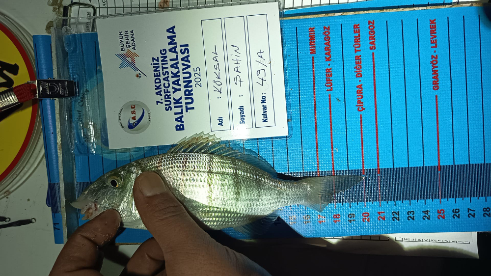 7. AKDENİZ SURFCASTING TURNUVASI