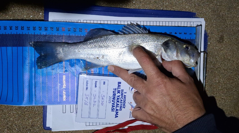 7. AKDENİZ SURFCASTING TURNUVASI