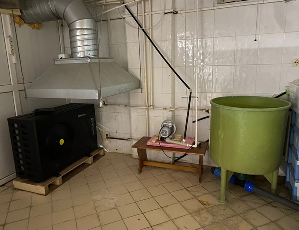 Yapay zeka sıcaklık kontrolü ile balık yetiştiriciliğini iyileştiriyor