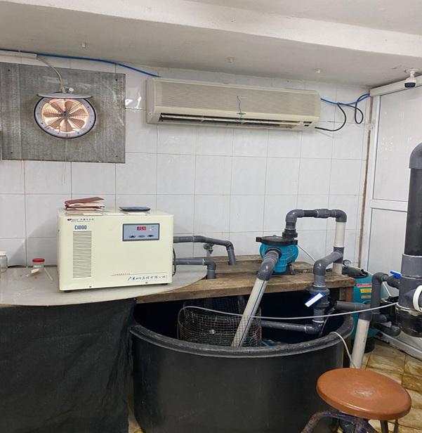 Yapay zeka sıcaklık kontrolü ile balık yetiştiriciliğini iyileştiriyor