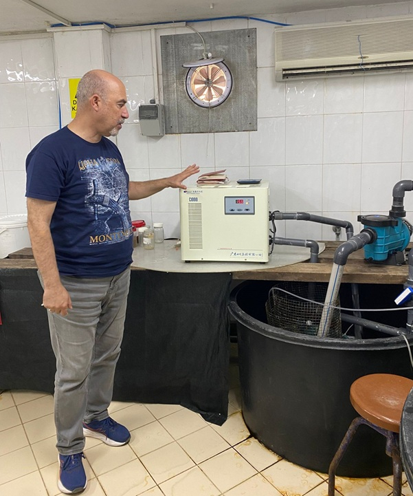 Yapay zeka sıcaklık kontrolü ile balık yetiştiriciliğini iyileştiriyor