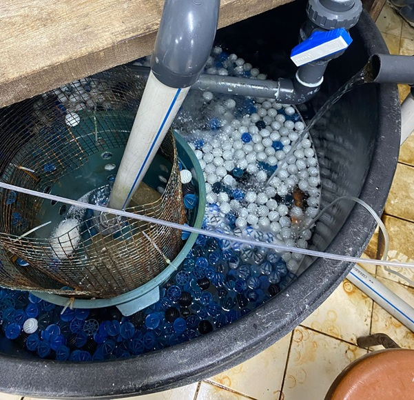 Yapay zeka sıcaklık kontrolü ile balık yetiştiriciliğini iyileştiriyor