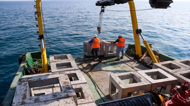 Adana'da balık popülasyonunun gelişmesi için denize yapay resifler bırakıldı