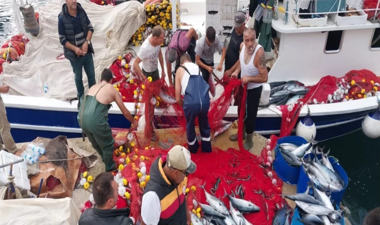 Gelibolu'da balıkçılar 2 bin 500 adet torik avladı