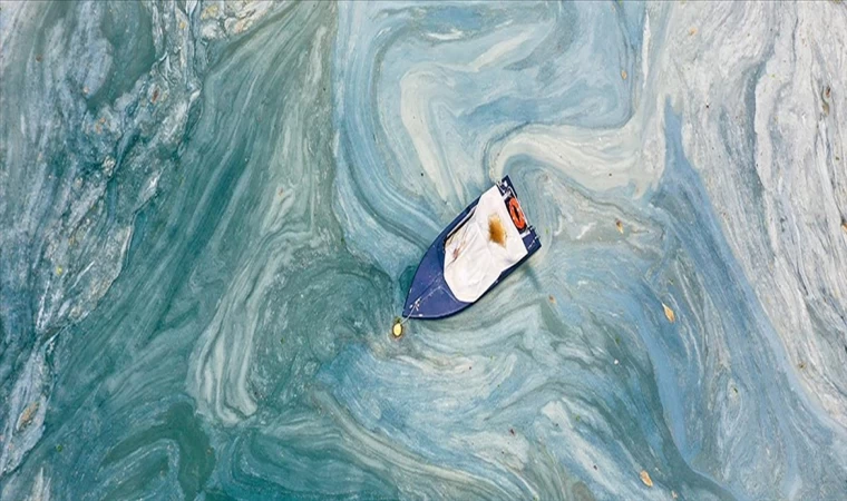 İtalya'nın Adriyatik kıyısında müsilaj sorunu ortaya çıktı