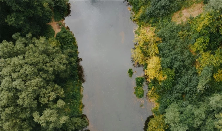 Kanala sodyum siyanür dökülmesinin ardından "ciddi sağlık riski uyarısı" yapıldı