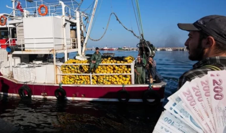 'Futbolcu gibi transfer oluyorlar' 80 bin TL'ye dönüp bakmıyorlar