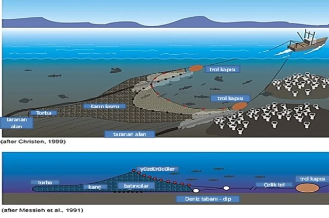 Ömer Faruk Kara "Trol Avcılığında Reform Gereksinimi" | Balık Haber
