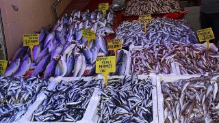 Samsun'da balık fiyatları