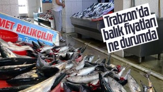 Trabzon'da balık fiyatları