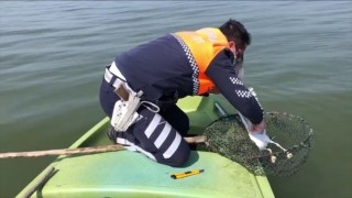Uluabat Gölü'ne atılan ağa takılan martıyı jandarma kurtardı